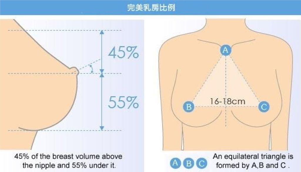 罩杯、弧度、比例？完美乳房的黄金比例 不定时掉落好看的奈子[316P/99M]-Jinricp资源分享 - 韩国女团资源站