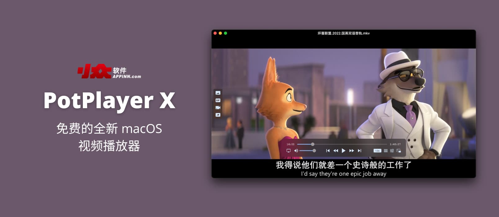 potplayer-x potplayer-x